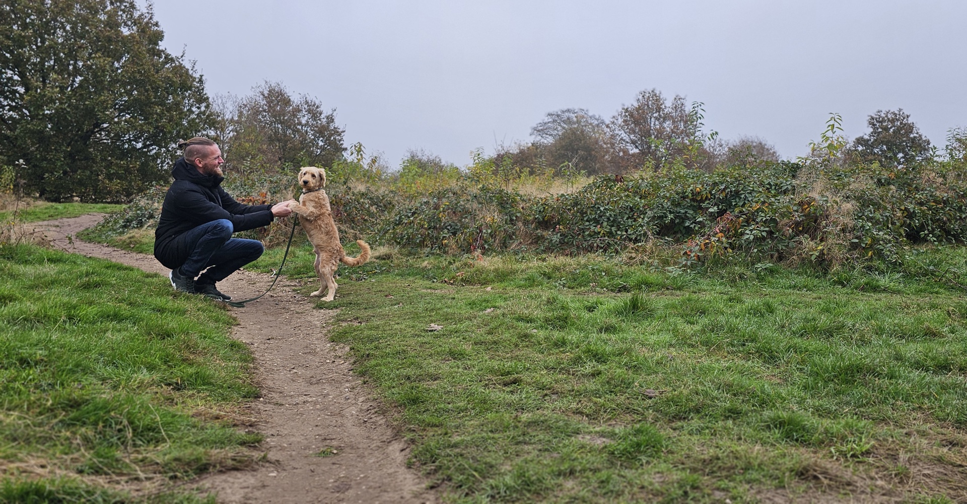 Ally Support Ally Support